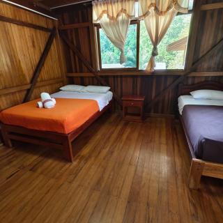 Kappirona House - Tena - 1