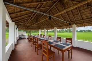 Mangrove Forest Camp Eco Stay Sundarbans, India - 8