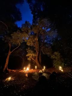 Kumana Under Canvas - 2