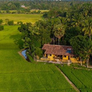 Kirindi Paddy Isle - 9