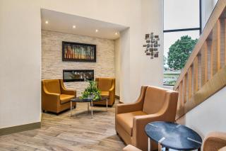 Comfort Inn - Chatham - 3