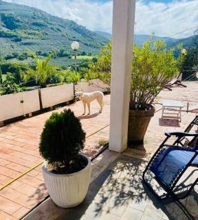 Panoramic Villa in Umbria - Montefranco - 6