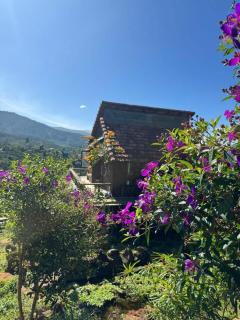 A Ơi Di Linh homestay - 9