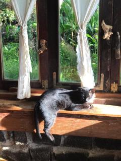 A Ơi Di Linh homestay - 5
