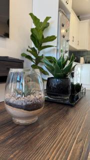 The Urban Elm Guesthouse - 2