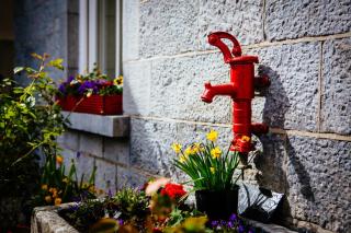 Gleeson's Restaurant & Rooms - Roscommon - 7