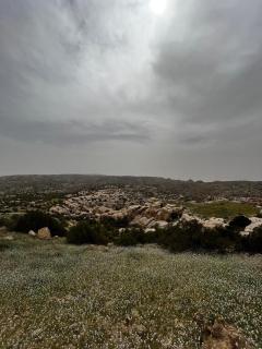 Dana Village Lodge - 2