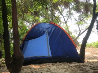 Tarkwabay Beach Trips Camping - 5