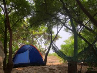 Tarkwabay Beach Trips - 1