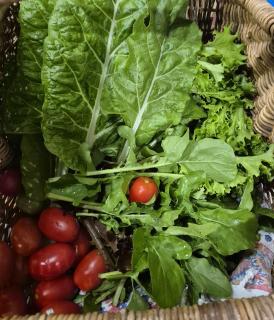 Reddoor Studio Millthorpe - 4