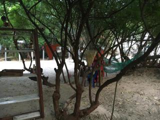 Tarkwabay Beach Trips - 7