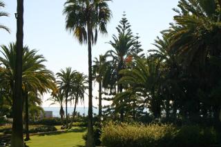 Marbella Apartamentos SL - Marbella - 4