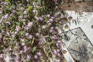 Casa Laghetto in the countryside with a shared pool - 9