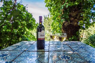 Casa Laghetto in the countryside with a shared pool - 2