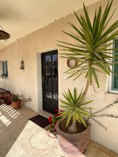 B&B petracountryhouse - Wadi Musa - 6