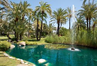 Marbella Apartamentos SL - Marbella - 9