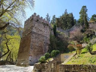 Tollmere Hospitality Λύχνος suite - 7