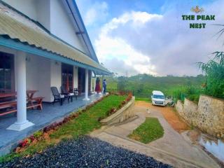 The Peak Nest - 3