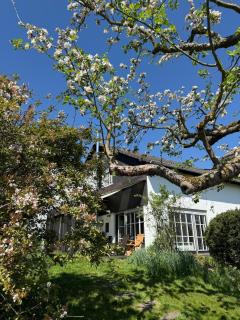 Lieblingsort Susanna - 6