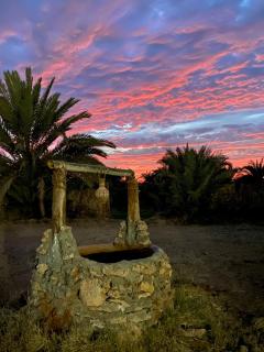 Bahariya Oasis hotel - 5