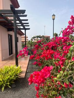 Villa Origo Mare 1236 in Majanicho - 8