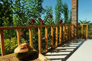 Bintang Homestay - Tetebatu - 2