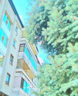 Apartman Stanković - 1