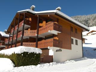 Appartement 2 pièces avec terrasse exposée sud, proche des pistes et commerces, garage inclus - FR-1-304-54 - 9