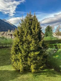 Prestigious apartment in Santa Maria Maggiore - 9