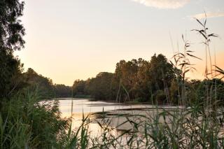 Asher Riverside Cottages - 2