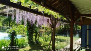 Maison Landaise En Pleine Nature - 1