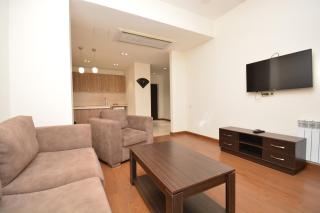 Premium apartment on Byuzand 17 with big balcony - Erevan - 7