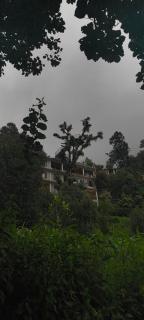 MOZO Inn&Cafe Jibhi - 0