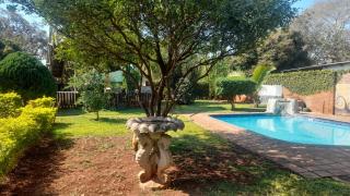 Sol & Sombra Guesthouse - 9