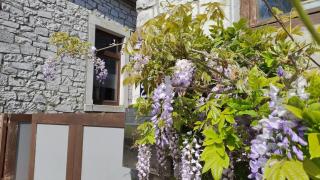Le Pouce Roux - Wanze - 1