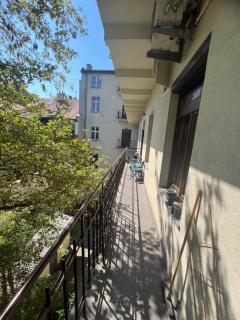 Five Luxe - 6