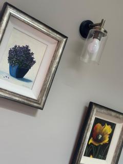 Oak field Cottages Belfast open plan studio stunning & tranquil - 4