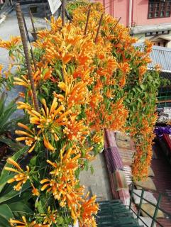 Yatikanagri Hotel and stay - 7