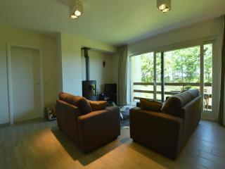 Family Apartment Bouillon and Semois River - Gros-Fays - 4