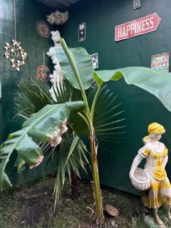 Fethiye Garden House & Private House with Garden - 8