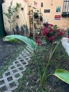 Fethiye Garden House & Private House with Garden - 4