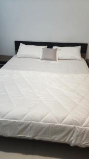 Appartment in Bada Zayed MZW - 1
