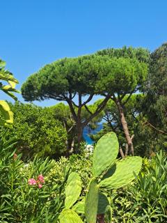 logement de charme en bord de plage - 4