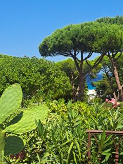 logement de charme en bord de plage - 5