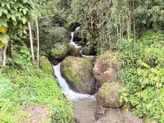 Travelites Hill Stay - 1