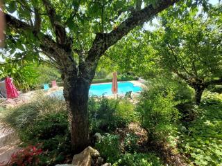 Le Bouscandier piscine privée proche de Sarlat - Millac - 4