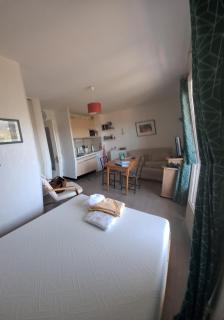 Grand studio Gaëlle 50m des cures jolie vue dégagée balcon wifi - 1