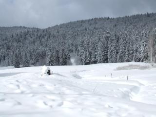 Domaine Des Hauts Viaux - 2