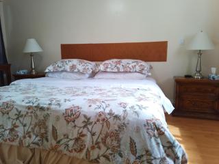 Cozy Red Deer Suite for 3 - 5