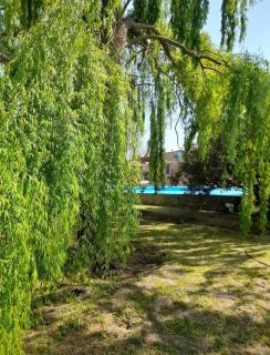 La casa de aminga dpto Castro barros La Rioja Argentina - 3